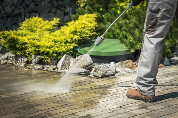 Boat and Dock Cleaning in Ponderosa Park, CO